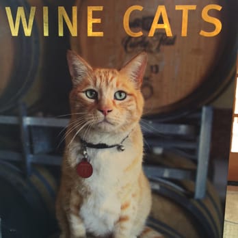 Rancho Sisquoc Winery - One of the many interesting items here! - Wineries Near Me - Santa Maria, California Rancho Sisquoc Winery - One of the many interesting items here! - Wineries Near Me - Santa Maria, California