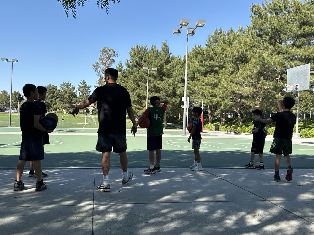 The Vine Basketball Logo