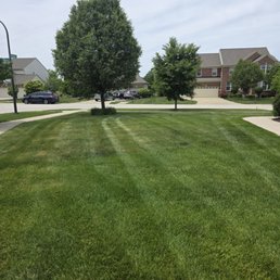 Front yard Front yard