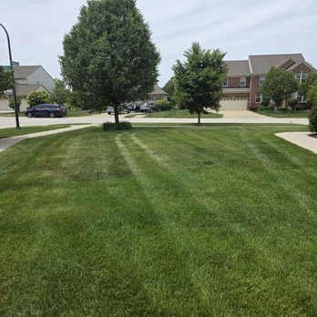 Weiss Lawn Care - Front yard - Pest Control Near Me - Carol Stream, Illinois Weiss Lawn Care - Front yard - Pest Control Near Me - Carol Stream, Illinois