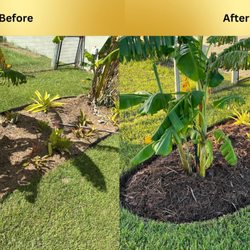 Ambient Lawncare