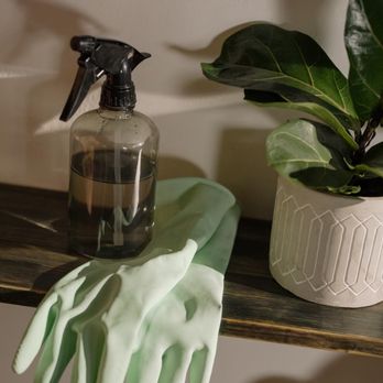MaidUnion - We also do green only cleaning to support a clean Las Vegas and our local community - Home Cleaning Near Me MaidUnion - We also do green only cleaning to support a clean Las Vegas and our local community - Home Cleaning Near Me