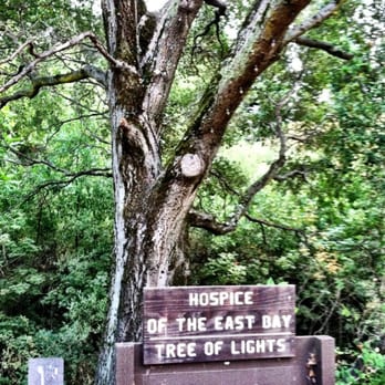 Moraga Commons Park - Tree of Lights - Parks Near Me - Moraga, California Moraga Commons Park - Tree of Lights - Parks Near Me - Moraga, California