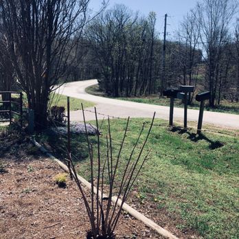 Beckys Flower Farm - View coming from Lincoln - Nurseries & Gardening Near Me - Lincoln, Arkansas Beckys Flower Farm - View coming from Lincoln - Nurseries & Gardening Near Me - Lincoln, Arkansas