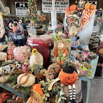P-6 Farms - Farmers Market Near Me - Montgomery, Texas P-6 Farms - Farmers Market Near Me - Montgomery, Texas