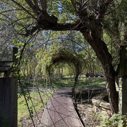 Botanical Garden of the Ozarks