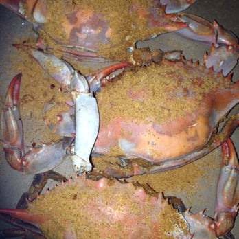 Crab Corner - Large females - Seafood Near Me - Las Vegas, Nevada Crab Corner - Large females - Seafood Near Me - Las Vegas, Nevada