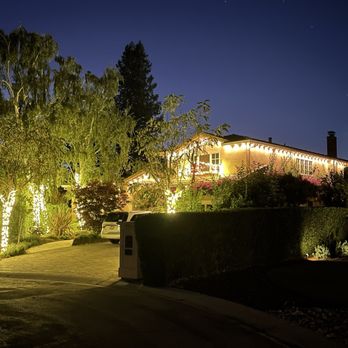 Mena's Christmas Lighting - LED lights on trees and roof perimeter. - Holiday Decorating Services Near Me - Morgan Hill, California Mena's Christmas Lighting - LED lights on trees and roof perimeter. - Holiday Decorating Services Near Me - Morgan Hill, California