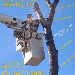 Brocka's Tree Service