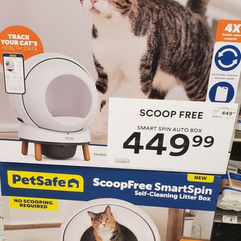 Petco Grooming for Cats: Transform Your Feline's Look