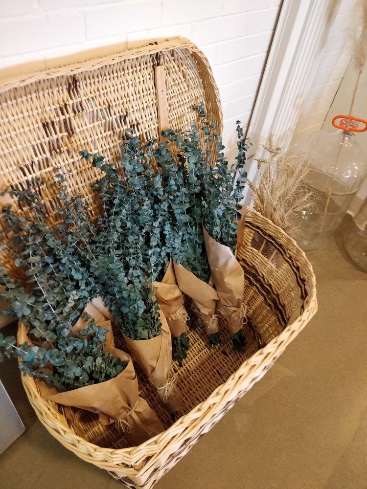 THE WOODRACK CAFE Updated August 2024 40 Photos 10324 82 Avenue