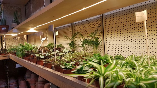 Ground Control by null