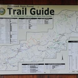 Tillamook State Forest