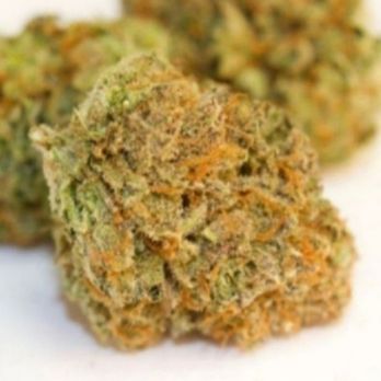 Lemonnade - Cannabis Clinics Near Me - Miami, Florida