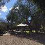 Photo of Hallstrom Park
