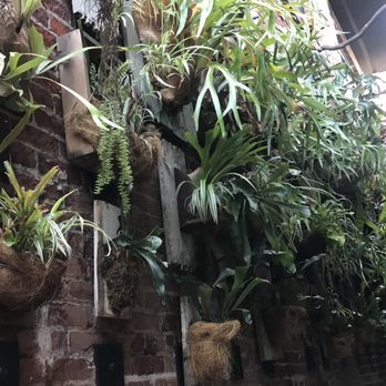 Succulent Coffee - Coffee & Tea Near Me - Oceanside, California
