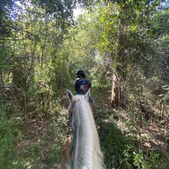 Cypress Trails Ranch - Horseback Riding Near Me - Humble, Texas Cypress Trails Ranch - Horseback Riding Near Me - Humble, Texas