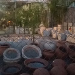Vivero El Sol