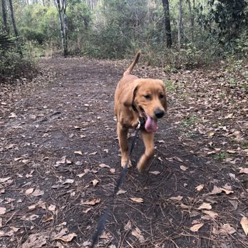 Losco Regional Park - Parks Near Me - Jacksonville, Florida