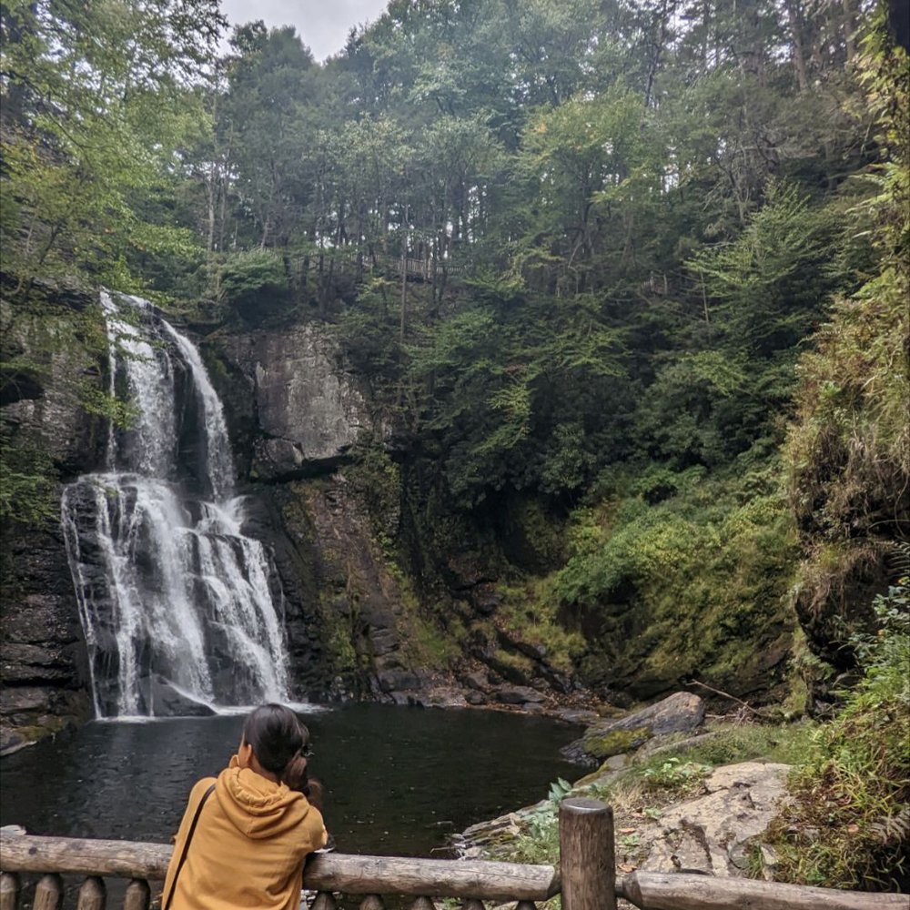 Bushkill Falls - Gorj, except when you look over the rail and there's tons of pamphlets people just throw into the water. Take your garbage with you! - Tours Near Me - Bushkill, Pennsylvania Bushkill Falls - Gorj, except when you look over the rail and there's tons of pamphlets people just throw into the water. Take your garbage with you! - Tours Near Me - Bushkill, Pennsylvania