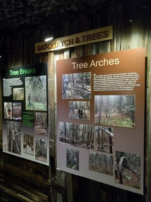 Sasquatch Outpost by null