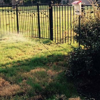 Graves Pools and Outdoor Living - Some of the brown sod - Landscaping Near Me - Rockwall, Texas Graves Pools and Outdoor Living - Some of the brown sod - Landscaping Near Me - Rockwall, Texas