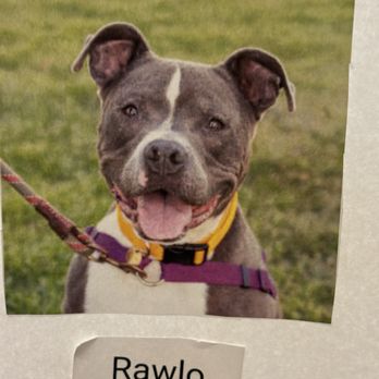 East Bay SPCA - Oakland - Animal Shelters Near Me - Oakland, California