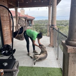 a woman playing with a dog a woman playing with a dog