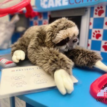 Coos Playtopia - Sloth at Dr.Maya's Vet - Indoor Playcenter Near Me - North Bend, Oregon Coos Playtopia - Sloth at Dr.Maya's Vet - Indoor Playcenter Near Me - North Bend, Oregon