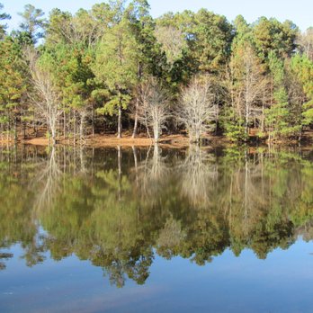 Bowie Park & Nature Center - Van Lake - Parks Near Me - Fairview, Tennessee Bowie Park & Nature Center - Van Lake - Parks Near Me - Fairview, Tennessee