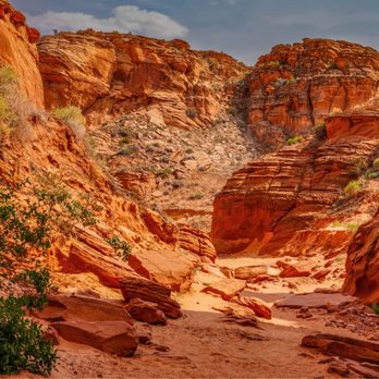 First Class Charter Tours of Sedona - Tours Near Me - Sedona, Arizona