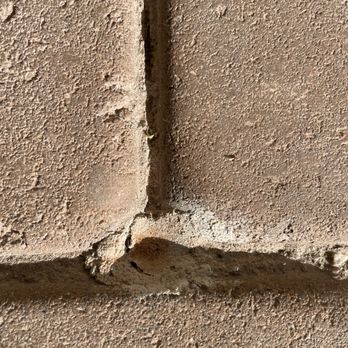 Bug Science - The image shows a close-up view of a brick wall with a focus on the textured surface of the bricks and the mortar joints. The bricks have a rough, uneven surface with visible granules, and the mortar between them appears slightly recessed and irregular. The lighting emphasizes the surface details and the natural color variations of the bricks and mortar. - Pest Control Near Me