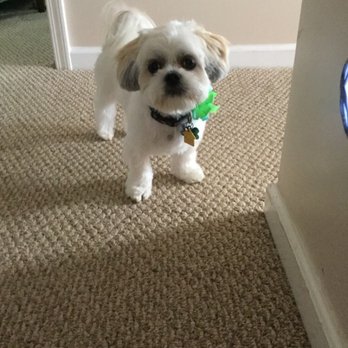 Pretty Paws - Pet Groomers Near Me - Louisville, Kentucky Pretty Paws - Pet Groomers Near Me - Louisville, Kentucky