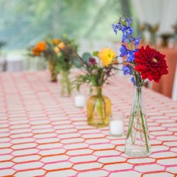 Pollyanna Events - Photo by Nick Stone Photography