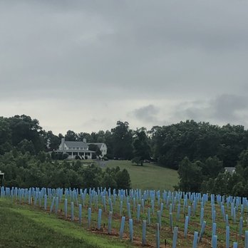 Dahlonega Resort & Vineyard - Pulling into property - New American Near Me - Dahlonega, Georgia Dahlonega Resort & Vineyard - Pulling into property - New American Near Me - Dahlonega, Georgia