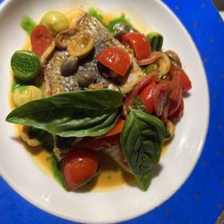 The Cesar - Sea bass