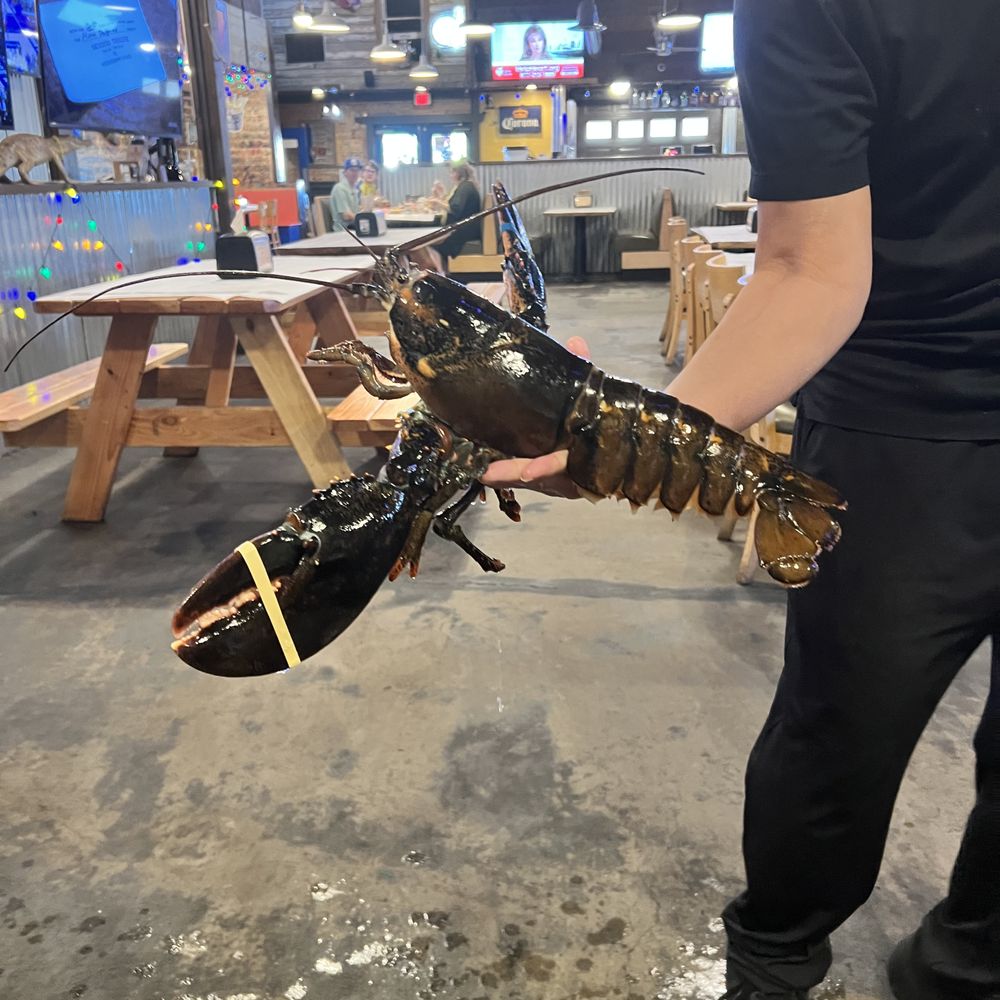 Angry Crab Shack - Seafood Near Me - Henderson, Nevada Angry Crab Shack - Seafood Near Me - Henderson, Nevada