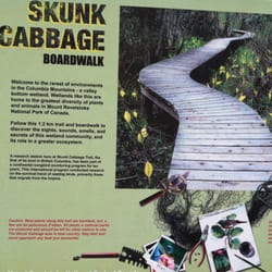 Skunk Cabbage Boardwalk