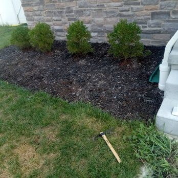 True Solutions - Weeded Mulch Bed - Pest Control Near Me True Solutions - Weeded Mulch Bed - Pest Control Near Me