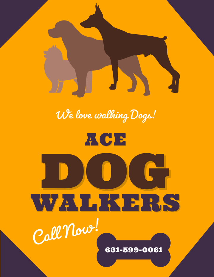 Ace Dog Walkers Image