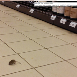 Carrefour Market