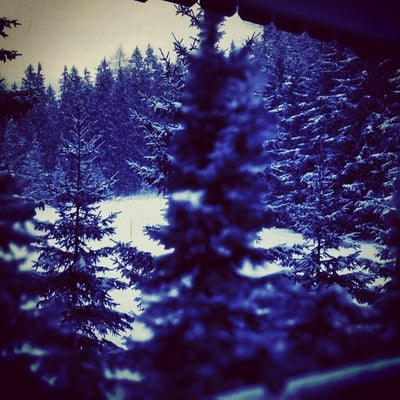 Hotel Waldhuus Davos by null