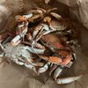 Sansone's Seafood Market gift card