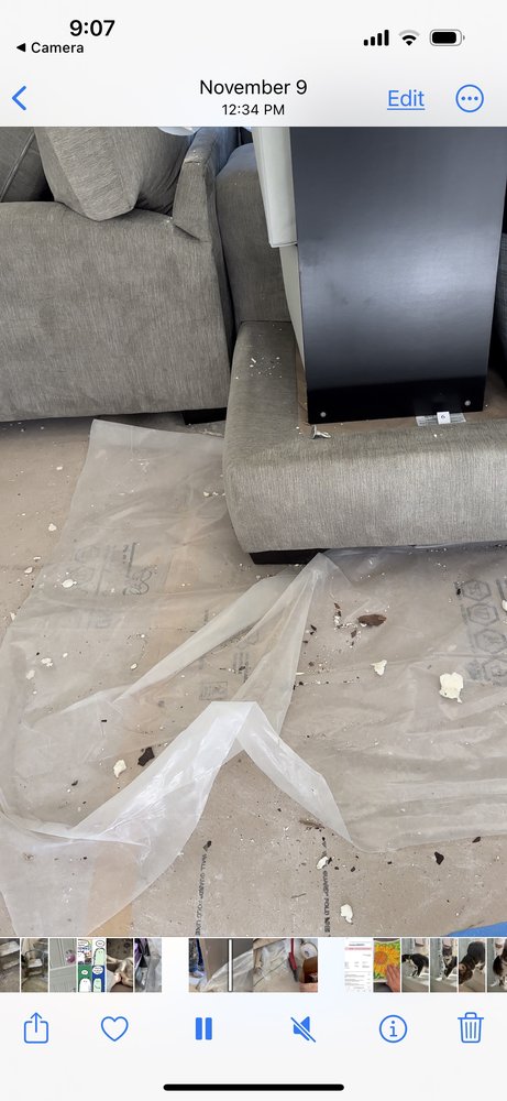 SafeHouse Solutions - mold inspector in Strongsville, OH