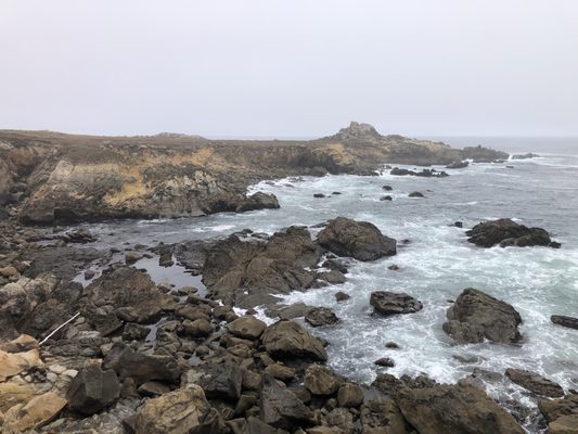 Salt Point State Park by null