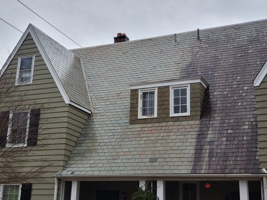 Panoramic View Window Cleaning & Roof Washing