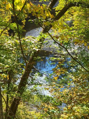 Cape Fear Botanical Garden by null