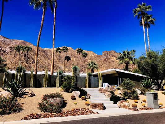 Palm Springs Mod Squad (Architecture Tours) by null