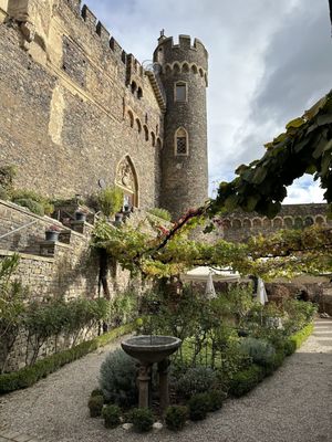Rheinstein Castle by null