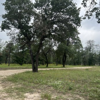 Texas Region Construction - After - Tree Services Near Me Texas Region Construction - After - Tree Services Near Me